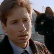 Jace Adam Bee (jadambee)