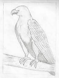 Pin On Pencil Sketch Drawings