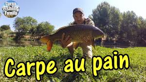 Peche D Une Carpe Koi Au Pain En Surface Stalking Fishing Youtube