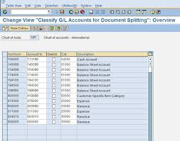 Document Splitting In New General Ledger Sap Blogs