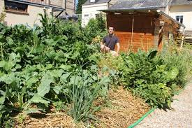 Exploit Dans Son Micro Jardin Joseph Produit 300 Kilos De Legumes Avec Images Jardins Amenagement Jardin Recup Amenagement Jardin