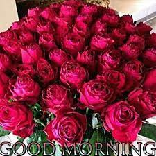 I hope to make a lot more memories with you in the upcoming years. Good Morning To All My Friends With Flowers Steemit