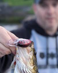 Spatter Custom Baits (@SpatterCustomBaits)