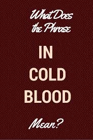 Pin On Grammar Girl English Idioms