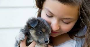 Conmovedor: Agentes hallan a una niña perdida en el bosque dormida y usando  a su perro de cojín