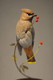 Cedar Waxwing Brown Birds That Look Like Cardinals Bohemian Waxwing Josh Guge Soapstone Carving Shore Bird Art Bird Carving