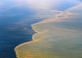 Measure the water level using one of the following methods and record your. Dispersants A Modern Method For Cleaning Up Oil Spills Advantages And Disadvantages Shark Research Conservation Program Src University Of Miami