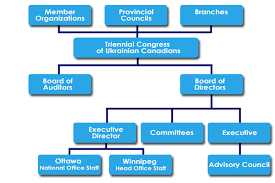Structure Of Us Congress Keyword Data Related Structure Of