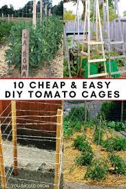 Tomato Cages Help Tomato Plants Grow Healthier And Produce More Fruit By Keeping Them Off The Ground Tomato Tomato Plants Support Tomato Cages Tomato Cage Diy
