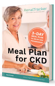 A free diabetic renal diet meal plan reandiethq.com : Kidney Friendly Meal Plan For Your Renal Diet Renaltracker Blog