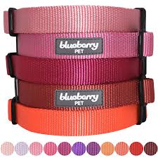 Small Neck 30cm 40cm Adjustable Collars For Dogs Blueberry