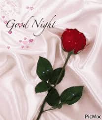 …wish her good night, tonight and every night. Red Rose Good Night Gift