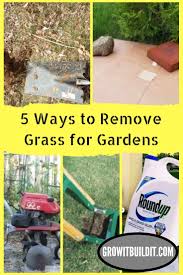 After removing the first tile row away from the tub, score the grout using the blade of a utility knife. 5 Ways To Remove Grass Growit Buildit