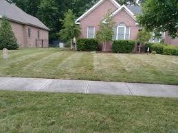 Don't see your favorite business? L Jay S Lawn Care Lawn Care Services In Chesapeake Va