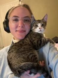 Room for rent sought in Olympia/Yelm area for employed introvert with two  cats