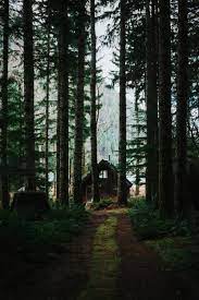 Aestheitcs Witchcraft Lifestyle Aesthetic Aestehtic Aestetic Witchblr Academia Windows Kit House In The Woods Cabins In The Woods Cabins And Cottages Discover more posts about forest academia.