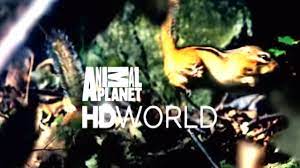 A Fresh Take On Animal World Animal Planet Hd World Youtube