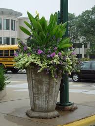 Pin By Gardening Girl On Container Gardening Full Sun Container Plants Container Gardening Flowers Container Gardening Full Sun