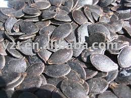 If you missed the chance to plant them before the frost, you can always add black pumpkin seeds to your amazon wish list. Black Pumpkin Seed Products China Black Pumpkin Seed Supplier