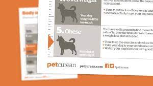 Scappoose vacation packages flights to scappoose scappoose restaurants things to do in scappoose scappoose travel forum scappoose photos scappoose map scappoose travel guide. All About Pets Llc Home Facebook