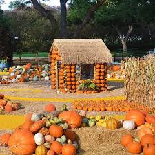Check out our petting zoo farm selection for the very best in unique or custom, handmade pieces from our shops. 36 Best Pumpkin Farms Near Me 2020 Pumpkin Picking Near Me