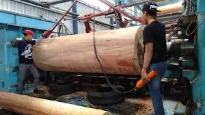 Jarak lokasi kurang lebih = 243 km. Pengolahan Kayu Di Pabrik Plywood Triplek Bagian Peeling Atau Gulung Veneer