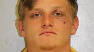 Metal Township man flees police, gets tased after attempted theft