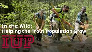 Check spelling or type a new query. Indiana University Of Pennsylvania Home Facebook