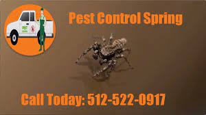 24 Hour Pest Control Spring Tx Termite Inspection Removal Services Best Insect Control Near Me Diy Pest Control Pest Control Mice Insect Control