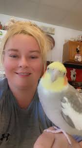 Lost parrot found safe in Northern Kentucky area