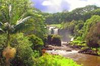 Image result for uganda garden of eden