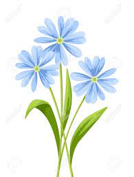 Hübsches mädchen mit weißem blumenstrauß nahe dem gesicht. Vector Blumenstrauss Der Blauen Blumen Auf Einem Weissen Hintergrund Lizenzfrei Nutzbare Vektorgrafiken Clip Arts Illustrationen Image 59876943