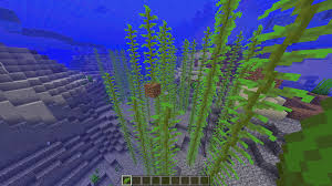 This still technically works in 1.17, but this is the old version. Kaan Dillon Minecraft Bedrock Edition Kelp Farm
