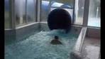 Video Zwembad De Kolk in Wierden - YouTube