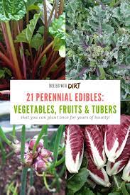 Perennial Vegetables Are Not Known By Many Gardeners Even Though Many Already Have Them Vegetable Garden Planner Organic Vegetable Garden Perennial Vegetables