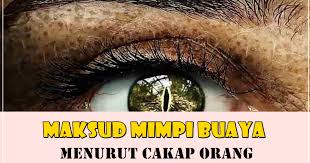 Jika anda mimpi dikejar buaya di daratan maka maksud dari mimpi tersebut adalah pertanda bagus. Maksud Mimpi Buaya Menurut Cakap Orang Maksud Baik Atau Buruk