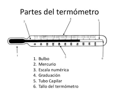 Que Es Un Termometro De Mercurio Partes Funcionamiento