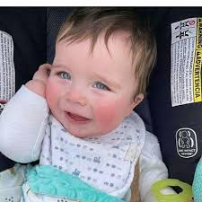 Brian Sandler and David Sandler's Wedding Website