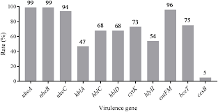 frontiers prevalence virulence genes antimicrobial