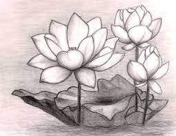 See more ideas about floral drawing, drawings, flower drawing. My First Flower Drawing