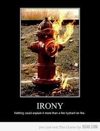 Pin By Jennifer Henderson On Teaching Ideas Irony Humor Bones Funny