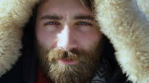 Viking beard styles short : Viking Beard Style How To Do It Like A True Viking Wild Willies