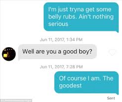 Looking for a furry friend, long distance relationship, or a furry mate? Alaskan Malamute Has Hilarious Tinder Profile Express Digest