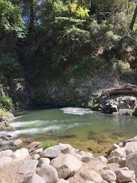 The Garden Of Eden A Guide To Santa Cruz S Favorite Summer Swimming Hole Salt And Sol Life In 2020 Swimming Holes Garden Of Eden Travel Around The World