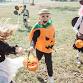 Chestermere's Haunted Hunt event image