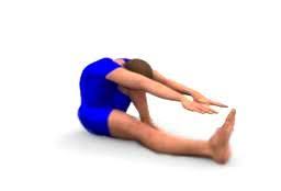 Etirement Des Ischio Jambiers Exercices Etirement Ischio Jambier Etirement Ischio Etirement