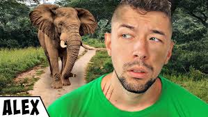 24 Óráig Egy Szafariban Dolgoztam!