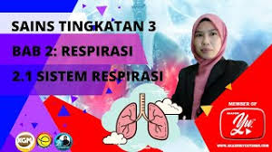 Bab 3 nutrisi other contents: Sains Ting 3 Bab 2 Respirasi 2 1 Sistem Respirasi Manusia Youtube