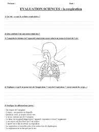 Séquence sur l'adjectif cm1 cm2. Evaluation Science Cm1