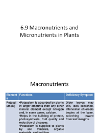 Npk fertilisers have only 3 of the necessary plant nutrients: 6 9 Macronutrients And Micronutrients In Plants Nutrients Fertilizer